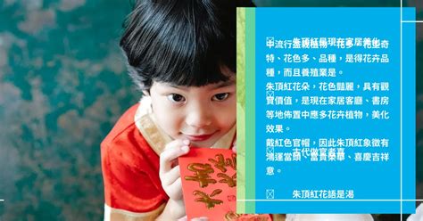 官帽花風水|官帽狀顯貴氣雙龍穴吸天子氣 